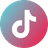 TikTok icon
